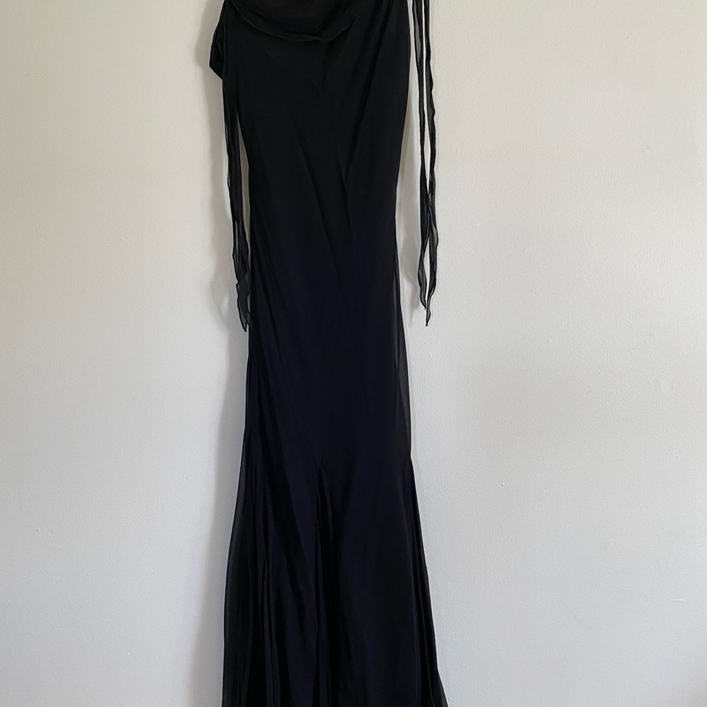 Cache Evening Dress - Picture 3 of 5